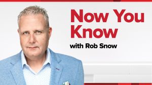 Now You Know with Rob Snow: The Breakdown