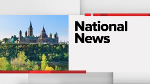 National News