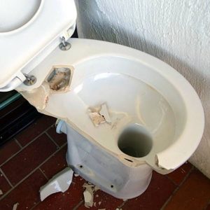 The Exploding Toilet