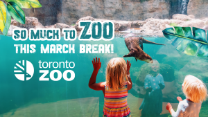 Win Passes to the Toronto Zoo